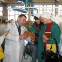 Полтавський хлібокомбінат запустив нову лінію з виробництва батонів (фото)